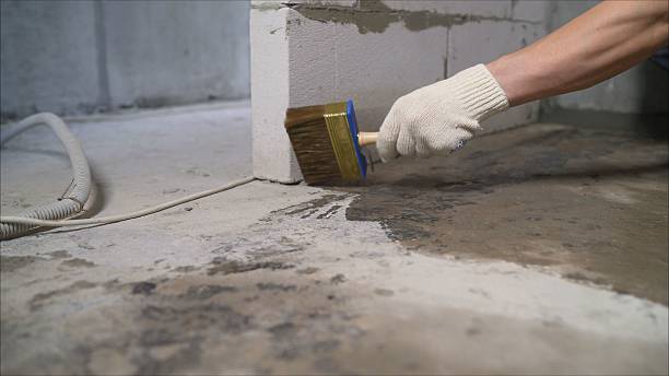 SJ Waterproofing Pros Waterproofing coverage map for Cedar Grove, IN and surrounding area